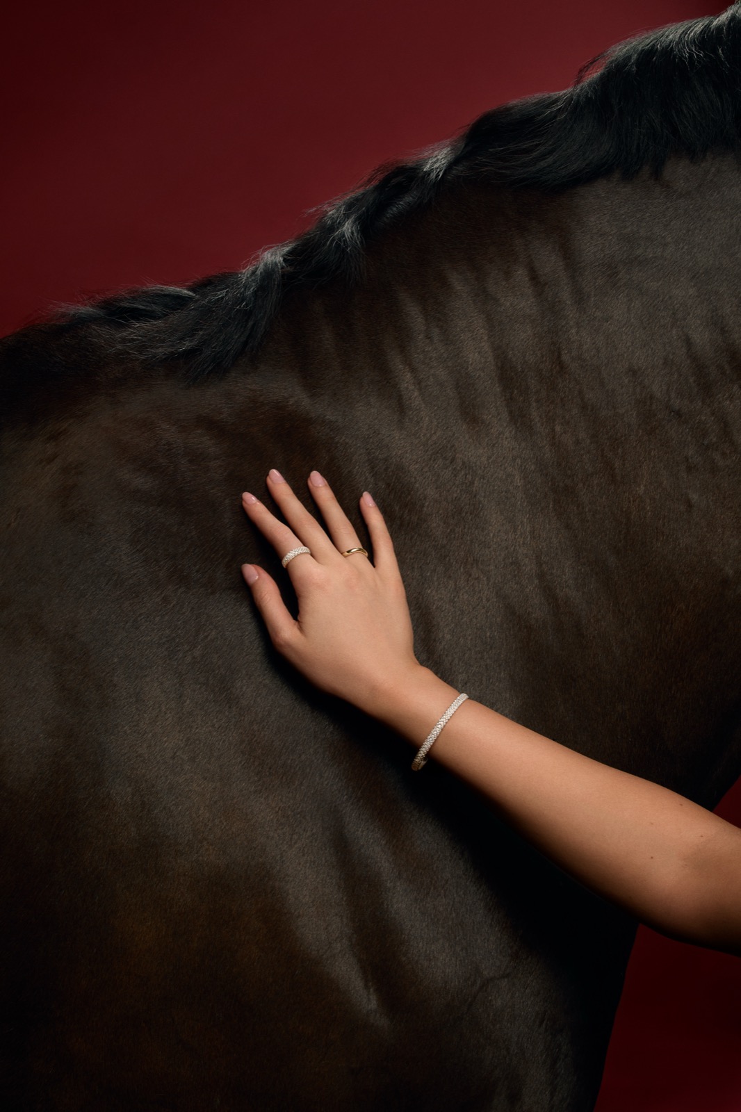 Hardy Brothers Lunar New Year — bracelet across the mane